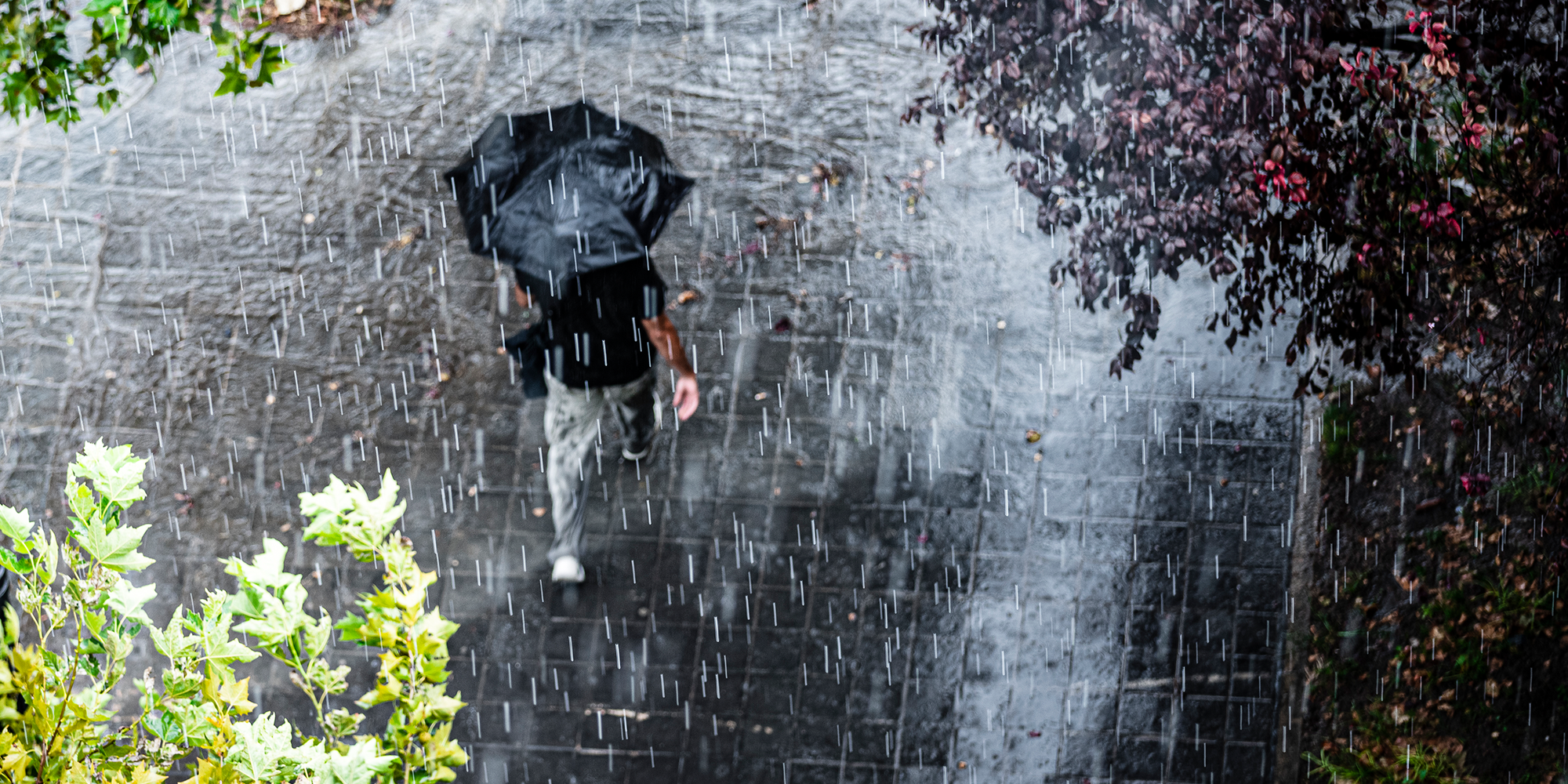 Themenfonds - Starkregen